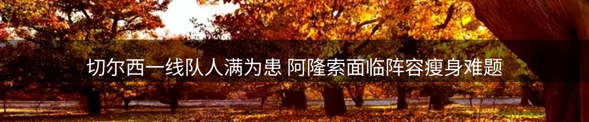 球盟会要闻