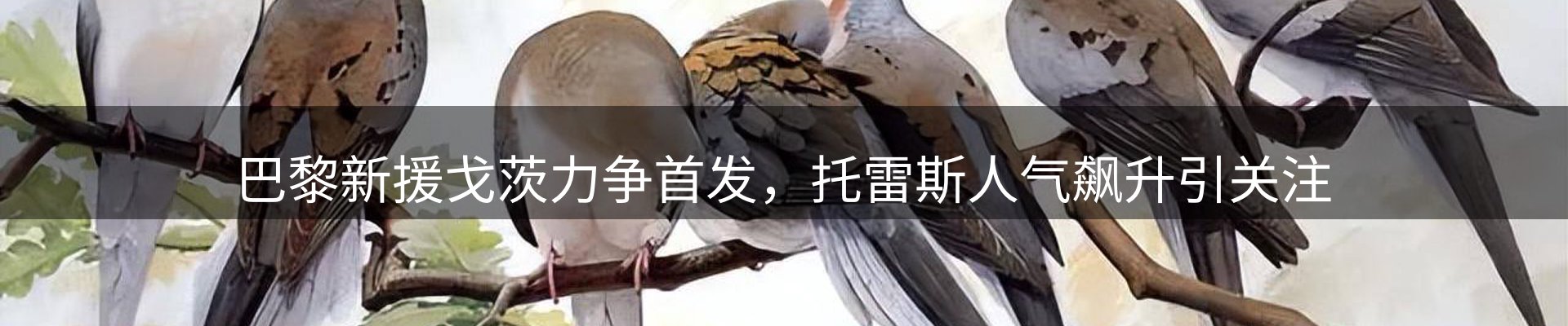 球盟会要闻