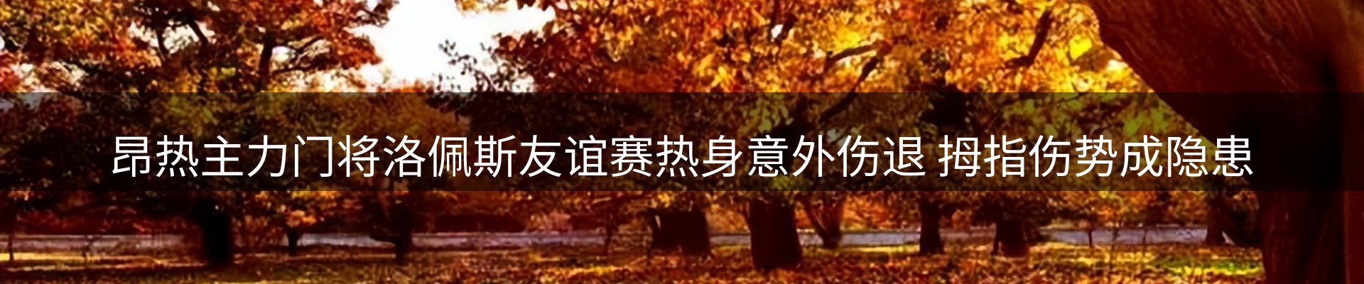 球盟会要闻