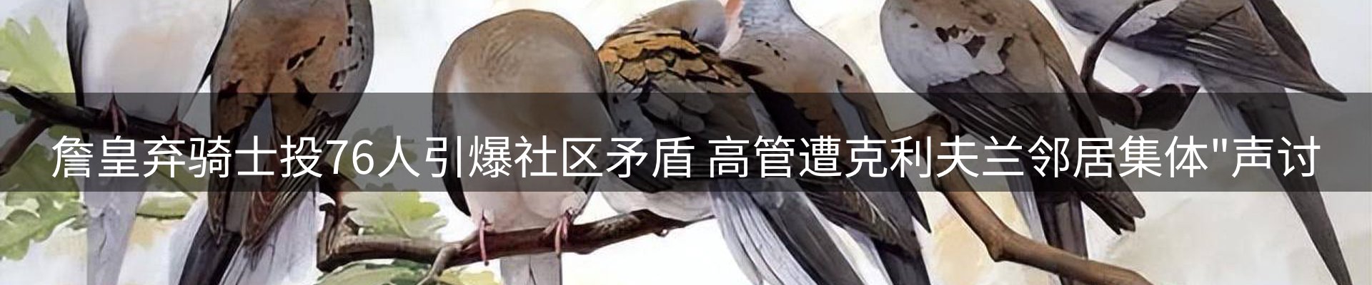 球盟会要闻